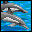 Dancing With Dolphins - Scuba the Great Barrier Reef